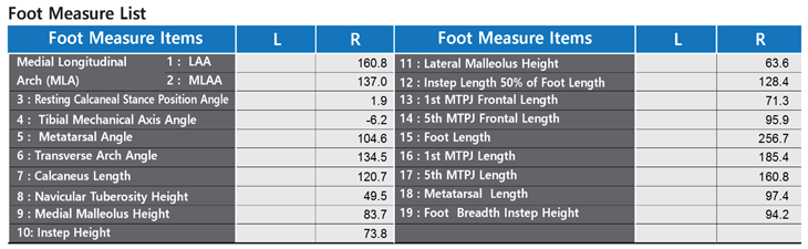 5. Measure Index Report