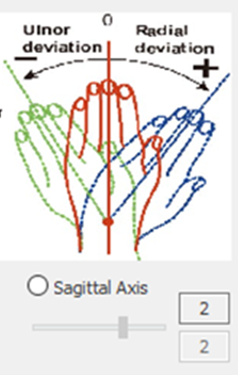 4. Sagittal Axis