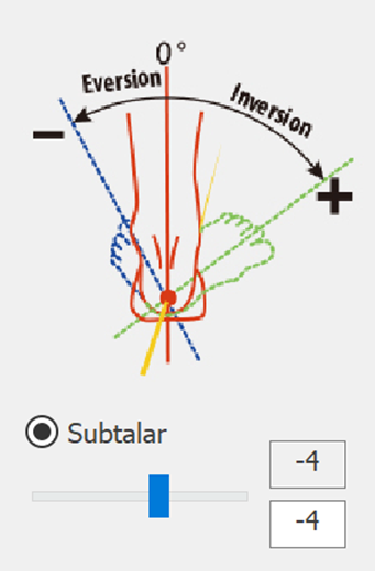 3. Subtalar